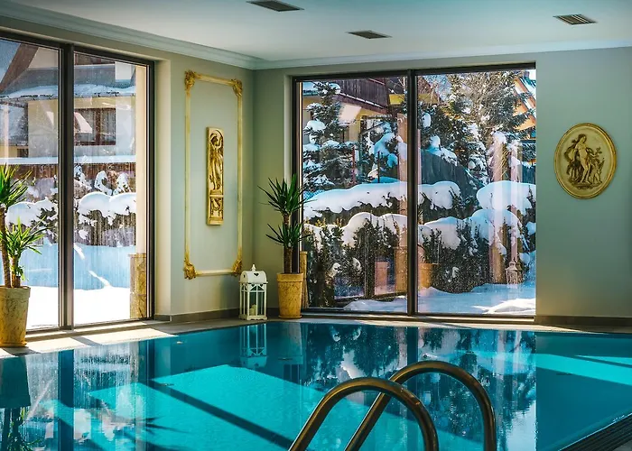 Paryski Art&Business - Basen Jacuzzi Sauna Małpi GajHotel Zakopane